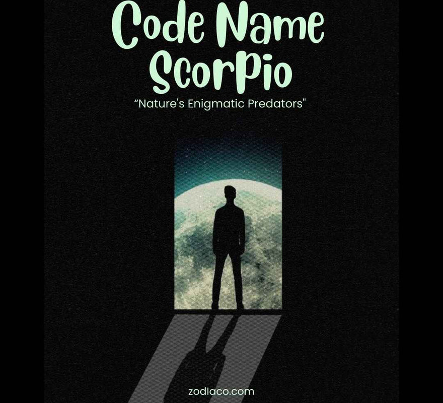 "Digital eBook cover titled 'Code Name: Scorpion , designed for readers interested in the Scorpio zodiac sign, featuring an artistic representation of a scorpion symbolising the characteristics of Scorpio, complemented by bold and engaging fonts."