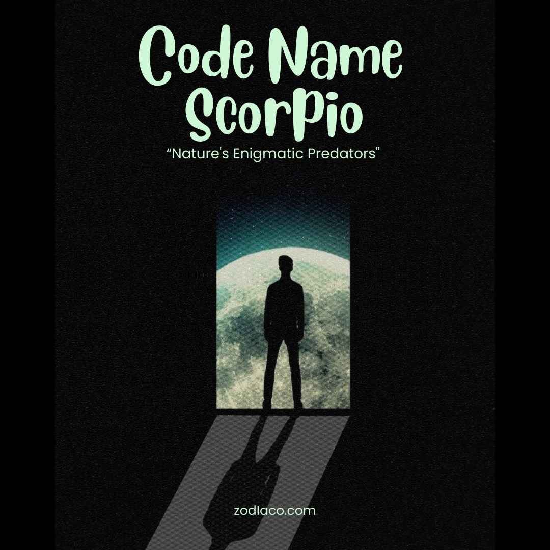 "Digital eBook cover titled 'Code Name: Scorpion , designed for readers interested in the Scorpio zodiac sign, featuring an artistic representation of a scorpion symbolising the characteristics of Scorpio, complemented by bold and engaging fonts."